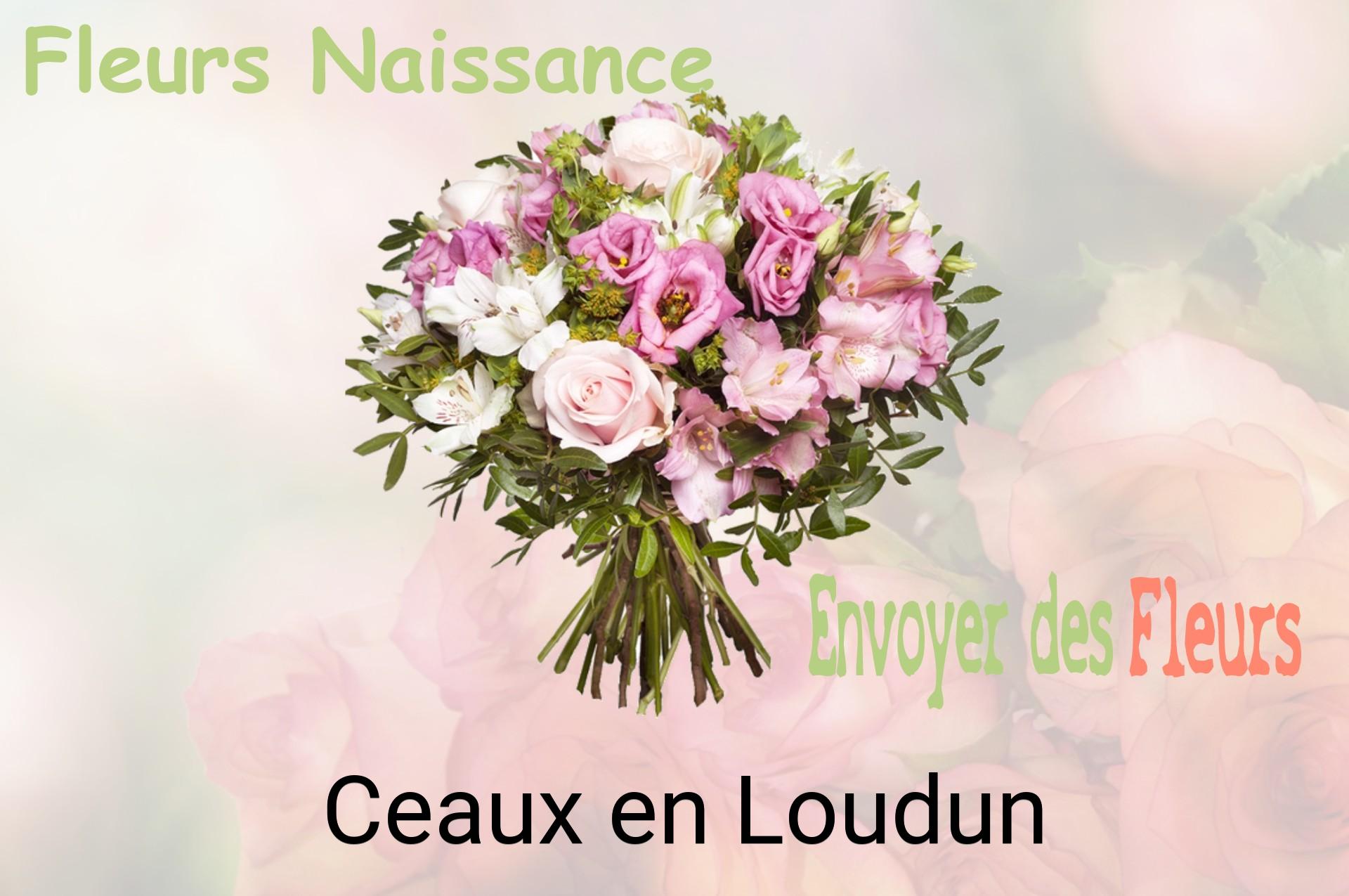 Bouquet de fleurs de naissance livré à Ceaux-en-Loudun
