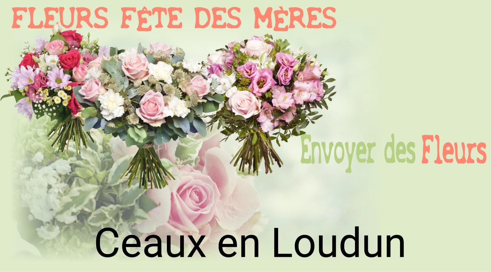Bouquet de Fête des Mères livré à Ceaux-en-Loudun